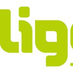 Logo_liligo