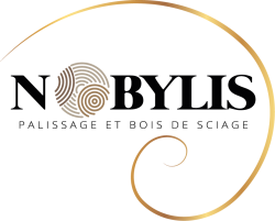 Logo-NOBYLIS